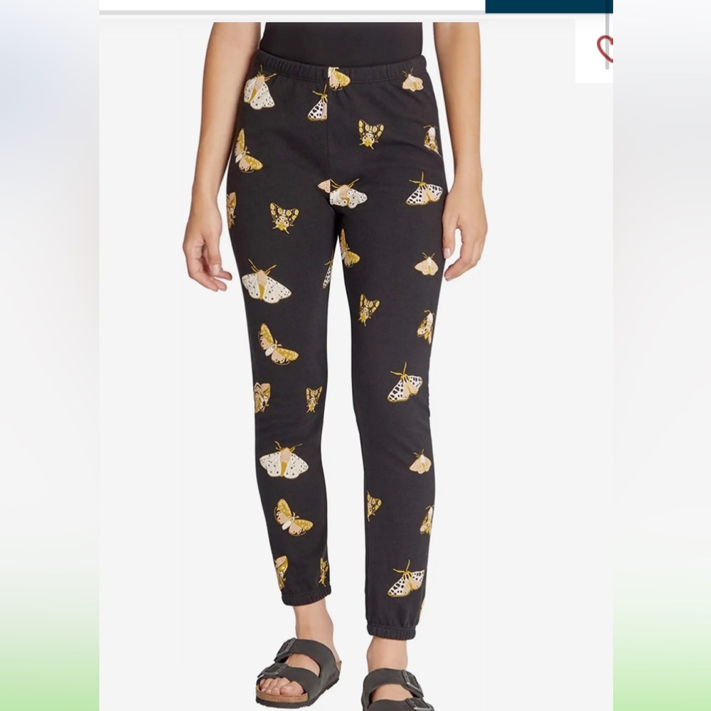Wildfox Women's Knox Jogger Sweatpant